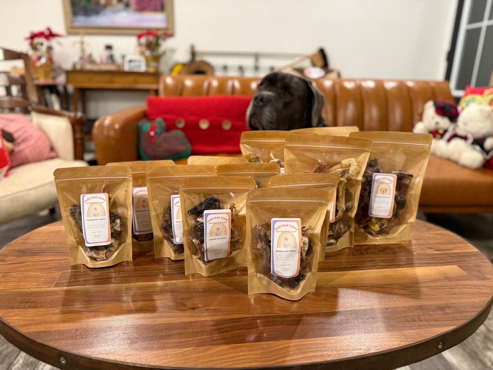 Bare Necessities for Dogs