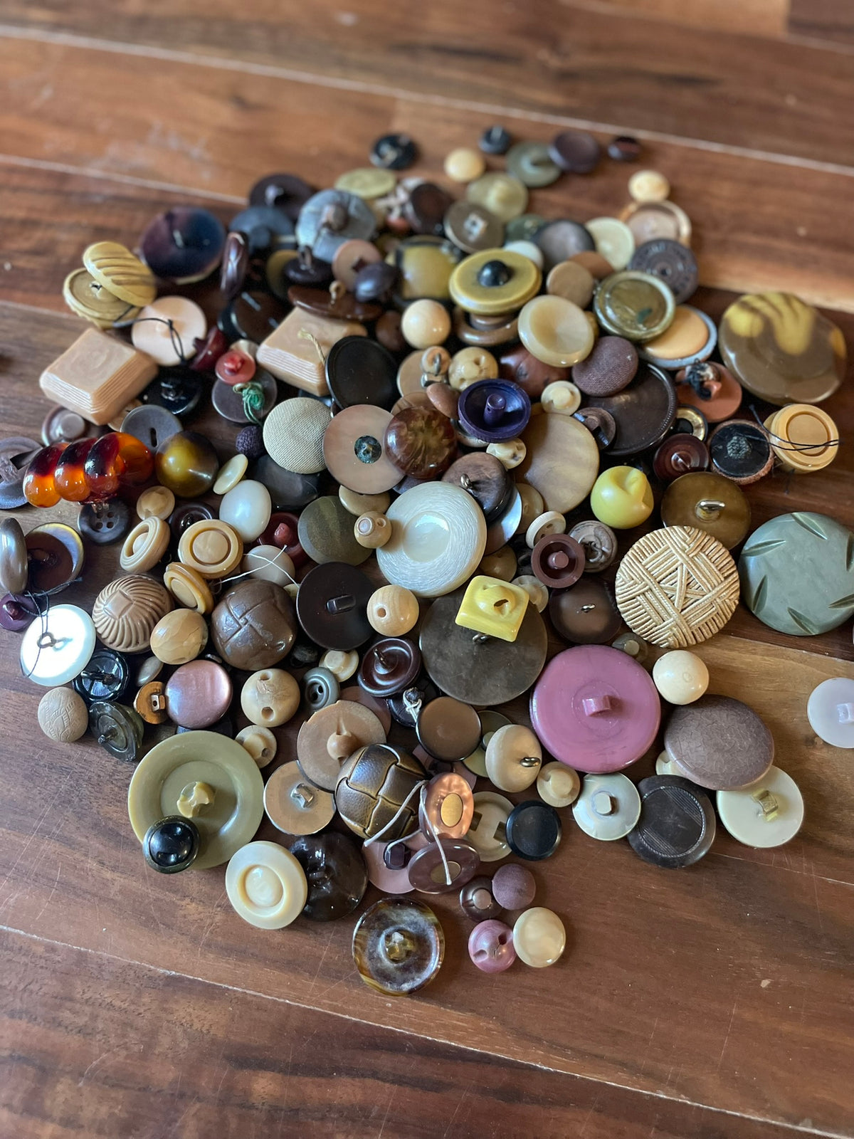 Bulk Shanks: Brown/Medium Tones