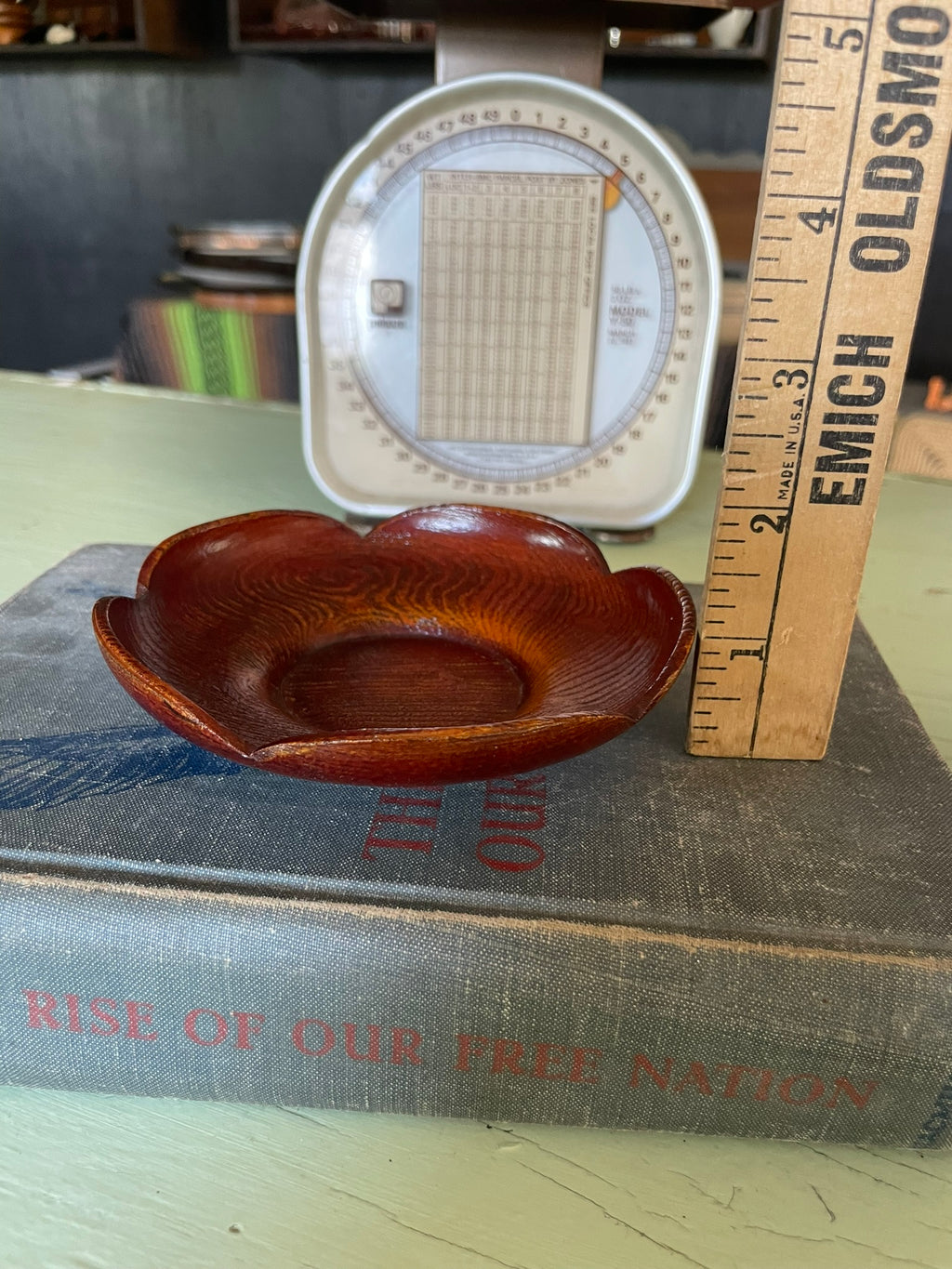 Japanese Wood Coasters/ Saucer Set of 5
