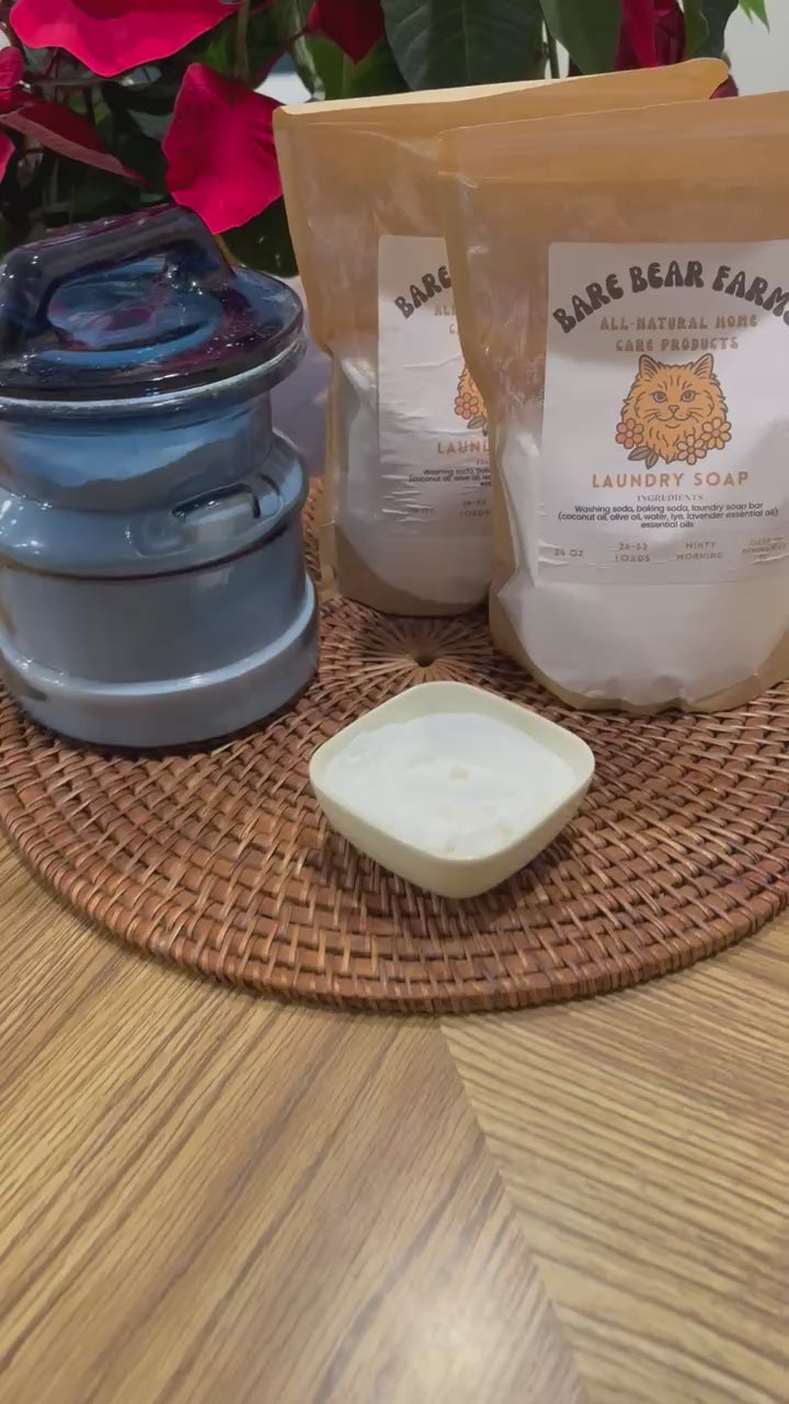 All Natural Laundry Soap Powder