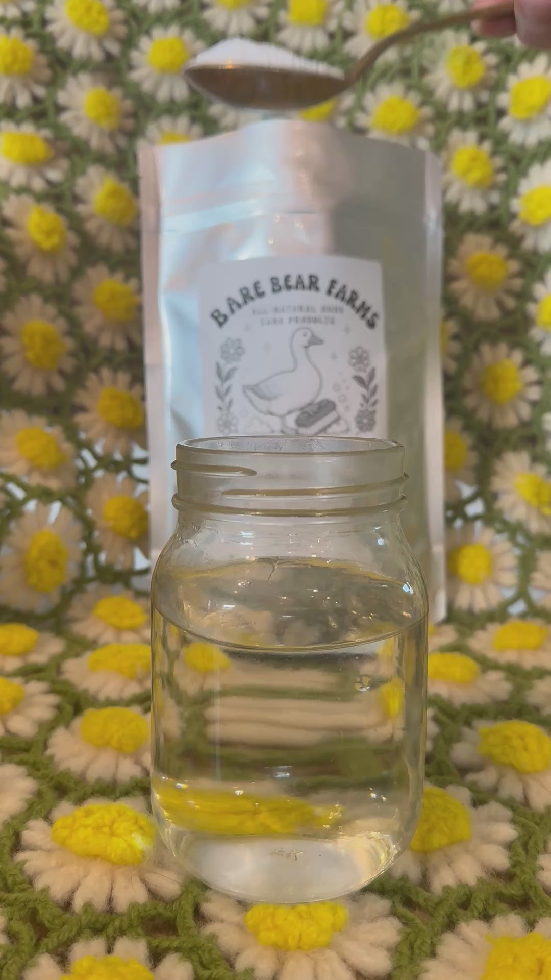All Natural Throne Fizz - Toilet Bowl Cleaner